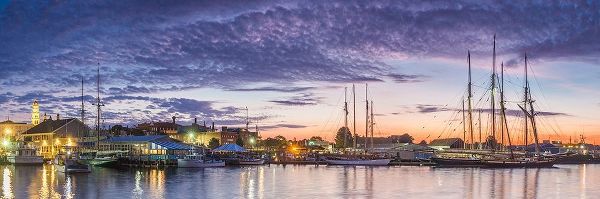 New England-Massachusetts-Cape Ann-Gloucester-Gloucester Schooner Festival-schooners at dawn